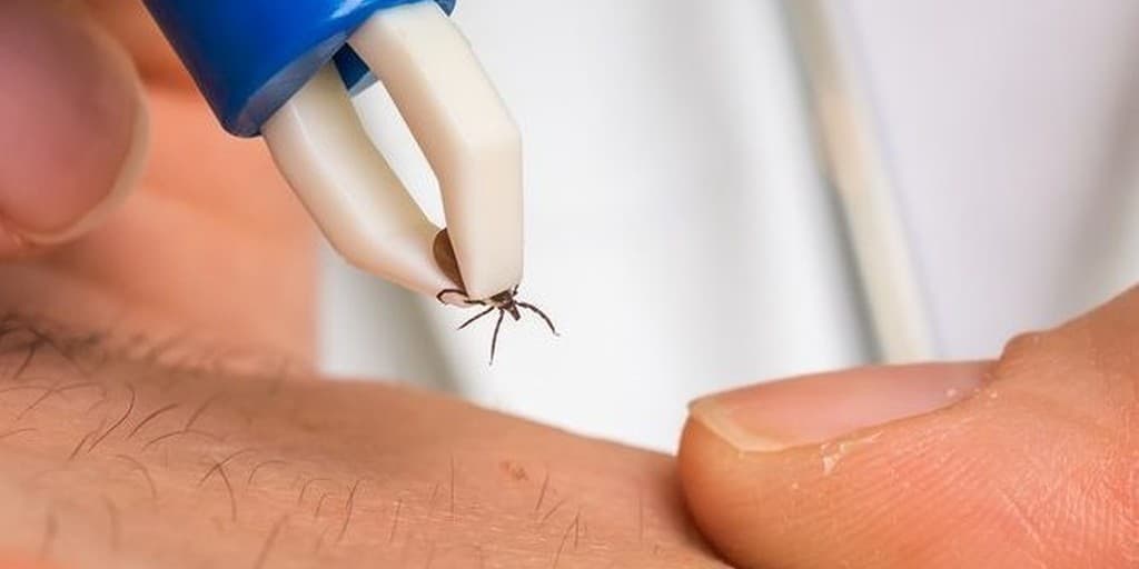 Szczepionka na boreliozę