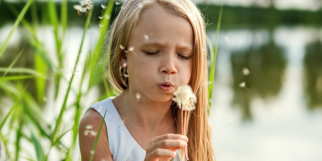 Uczulenie na chwasty